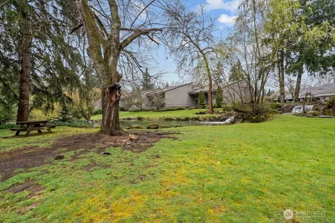 a view of a yard with tree s