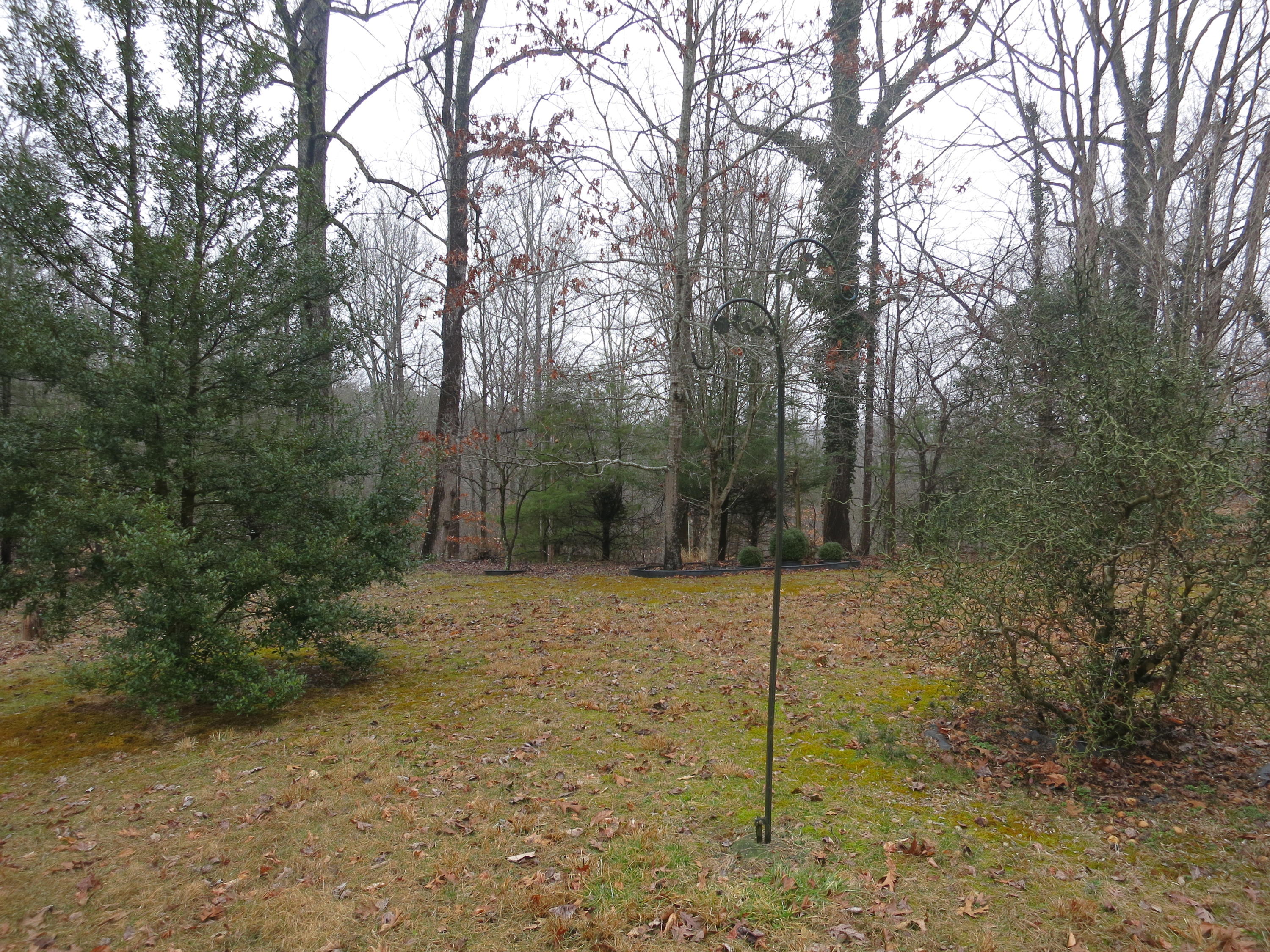 4423 Pitzer Road Roanoke, VA 24014 - Photo 30 of 40 30 Acreage
