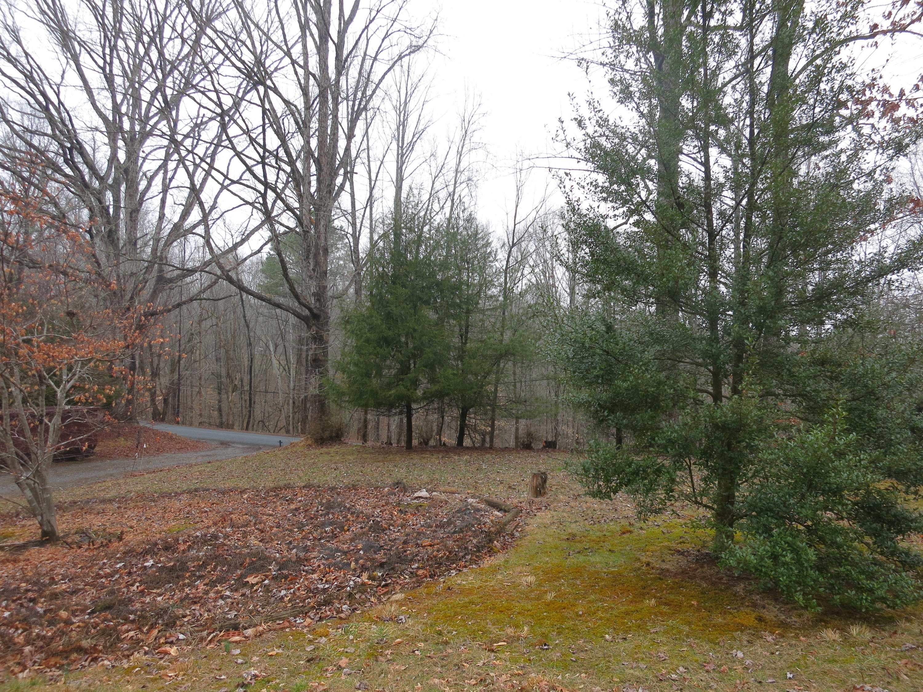 4423 Pitzer Road Roanoke, VA 24014 - Photo 31 of 40 31 Acreage
