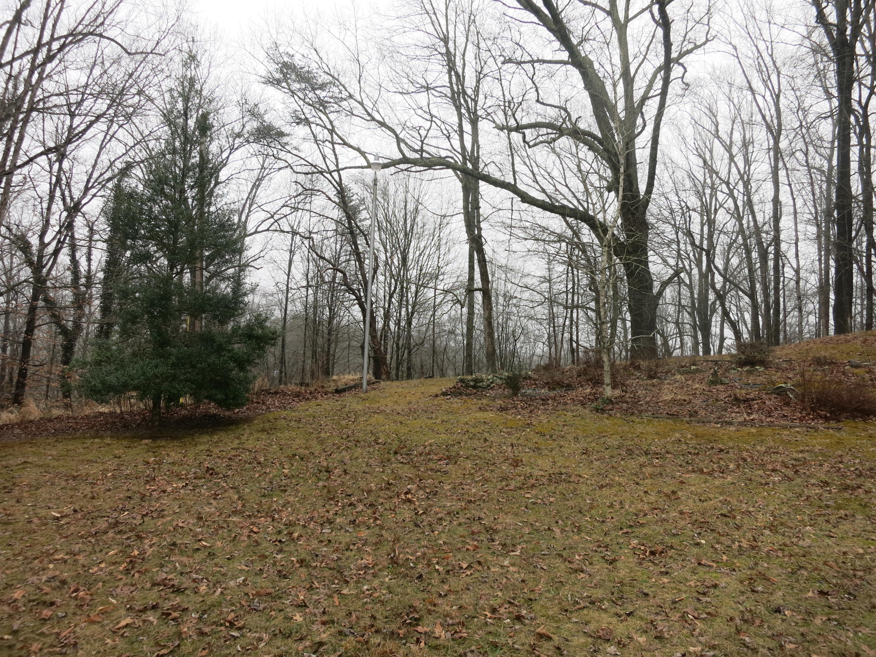 4423 Pitzer Road Roanoke, VA 24014 - Photo 32 of 40 32 Acreage