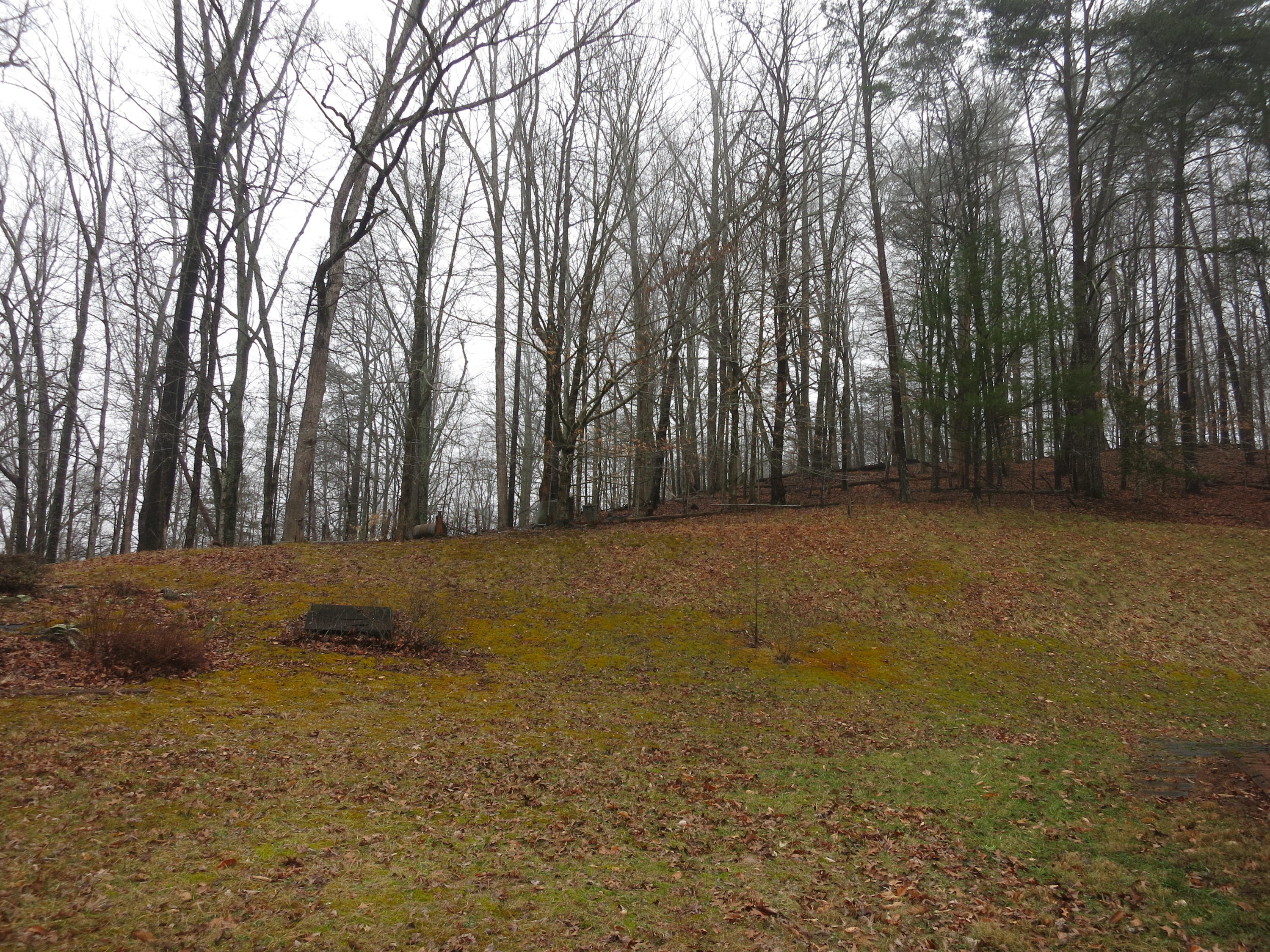 4423 Pitzer Road Roanoke, VA 24014 - Photo 33 of 40 33 Acreage