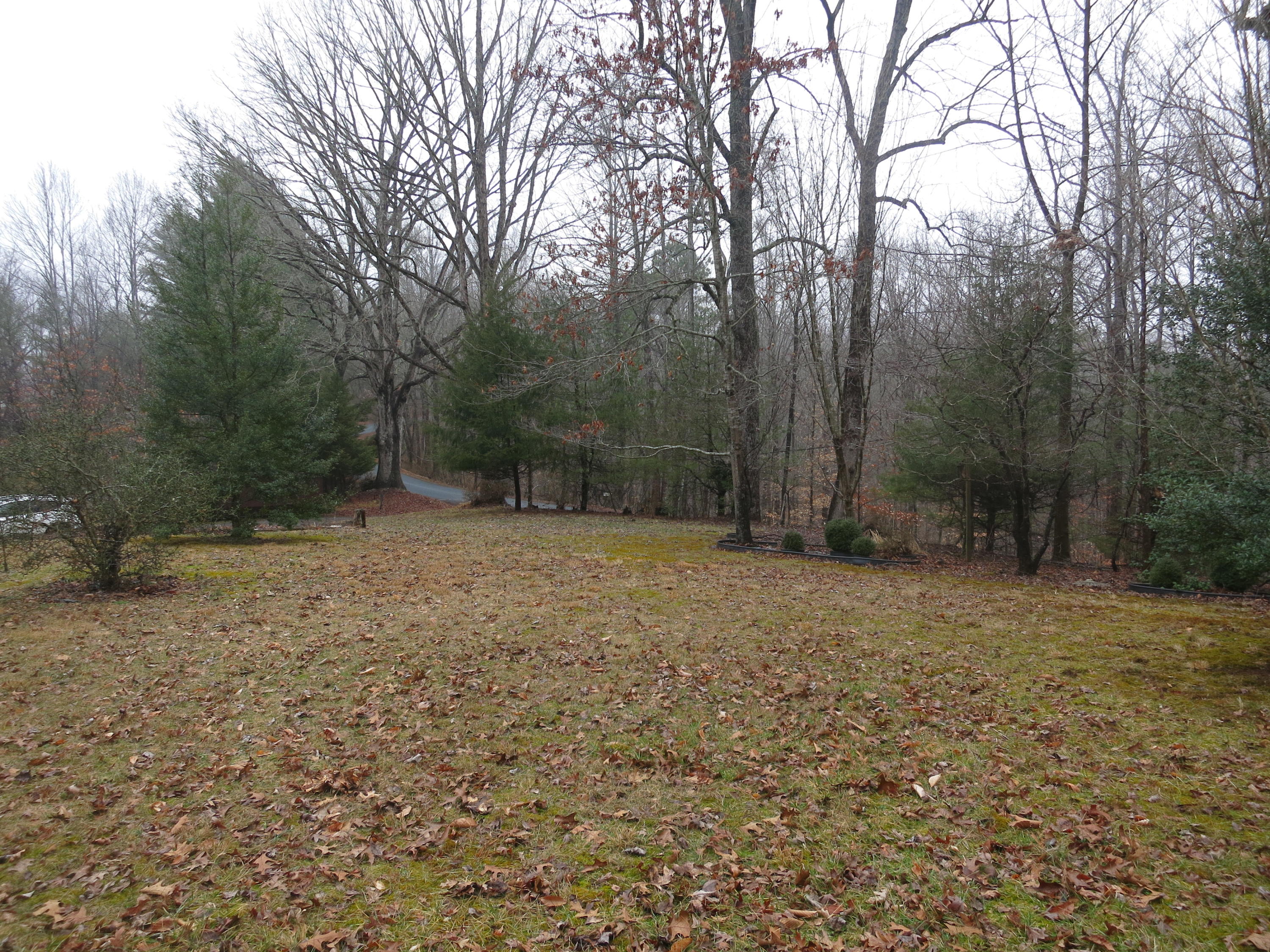 4423 Pitzer Road Roanoke, VA 24014 - Photo 34 of 40 34 Acreage