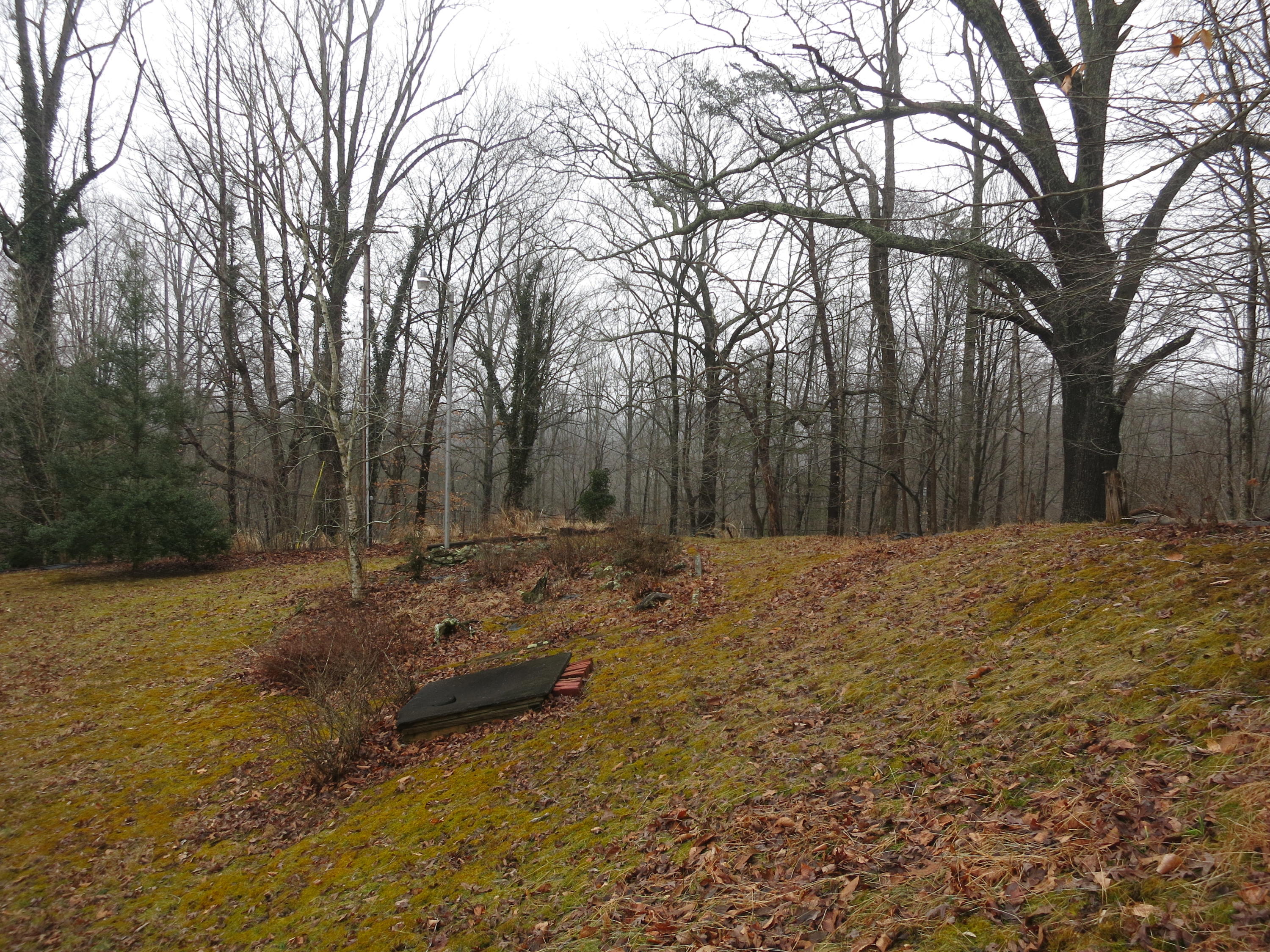 4423 Pitzer Road Roanoke, VA 24014 - Photo 35 of 40 35 Acreage