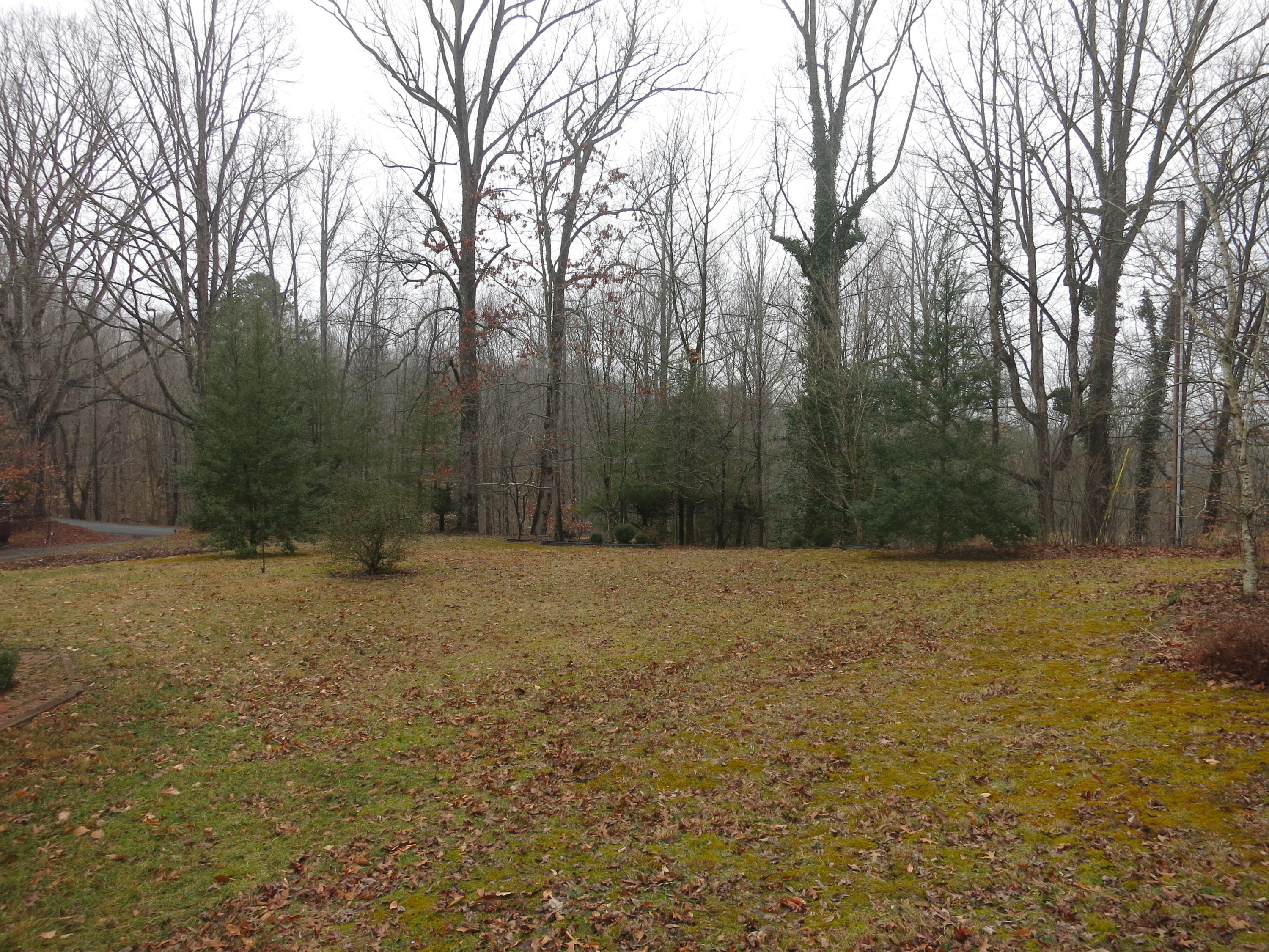 4423 Pitzer Road Roanoke, VA 24014 - Photo 36 of 40 36 Acreage
