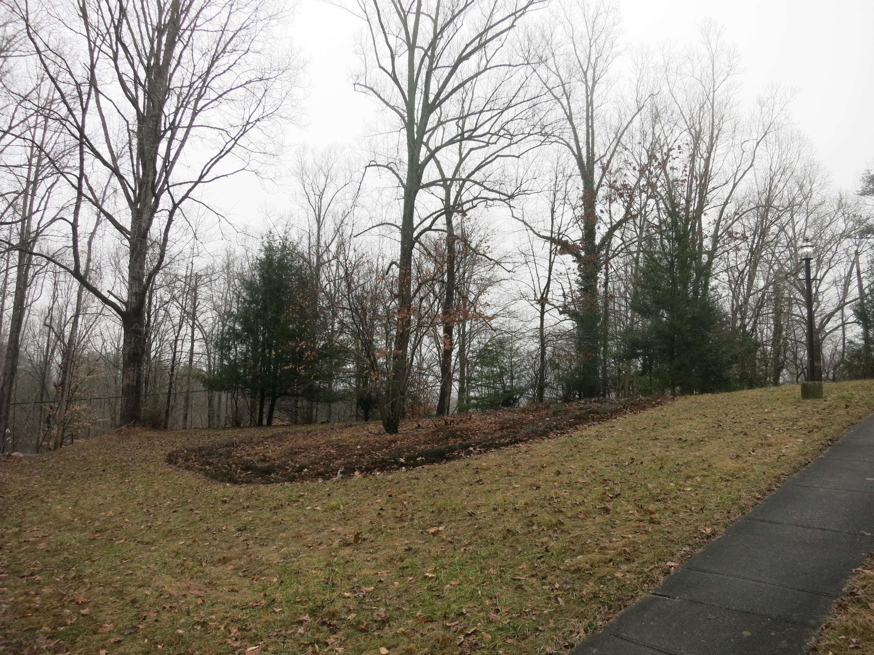 4423 Pitzer Road Roanoke, VA 24014 - Photo 38 of 40 38 Acreage
