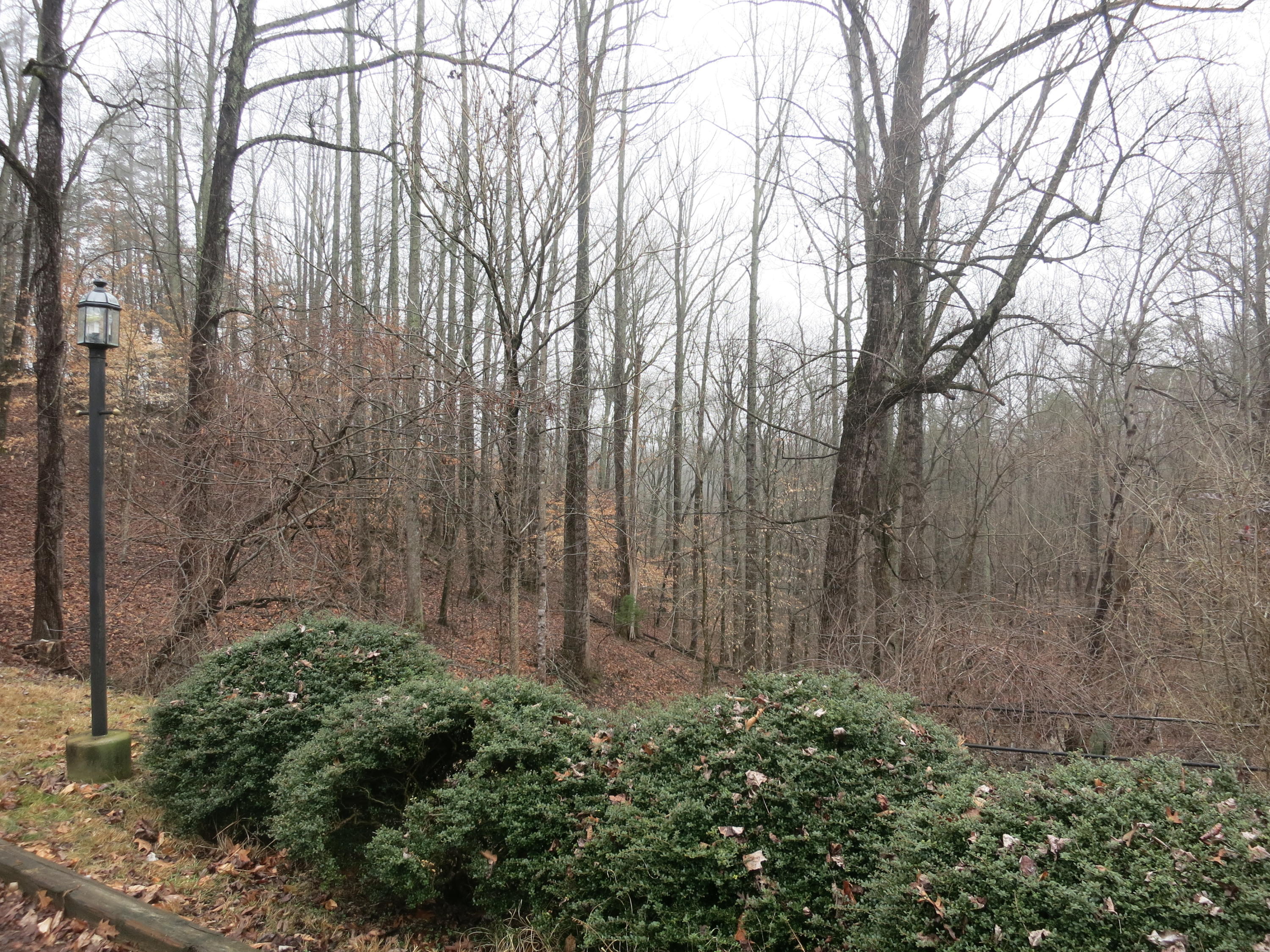 4423 Pitzer Road Roanoke, VA 24014 - Photo 39 of 40 39 Acreage
