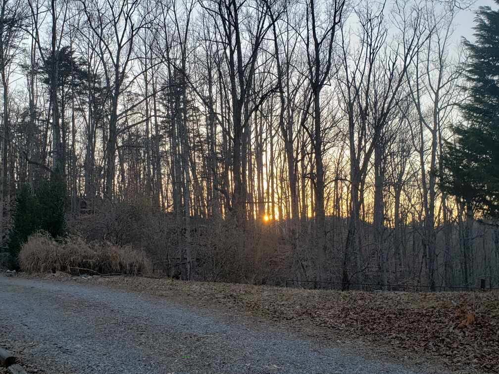 4423 Pitzer Road Roanoke, VA 24014 - Photo 40 of 40 40 Acreage