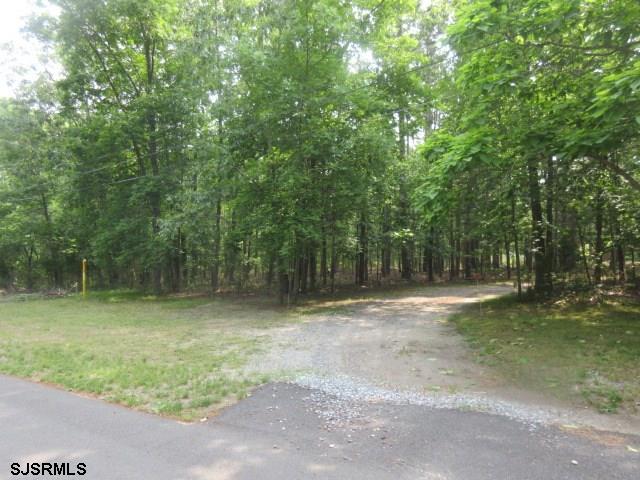 179 Walkers Forge Road Mays Landing, NJ 08330 - Photo 6 of 7