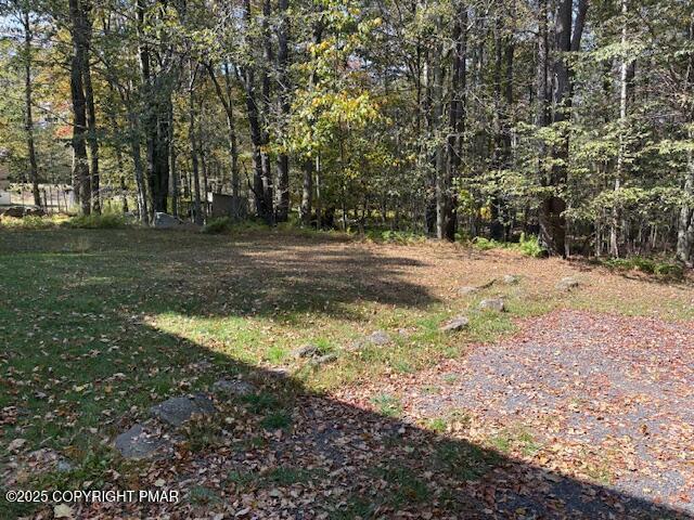 893 Millcreek Road Newfoundland, PA 18445 - Photo 30 of 31 a view of dirt yard with a trees