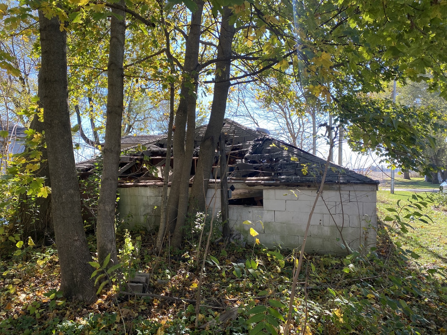 406 East Mason Street Easton, IL 62633 - Photo 5 of 9 a backyard of a house with lots of green space