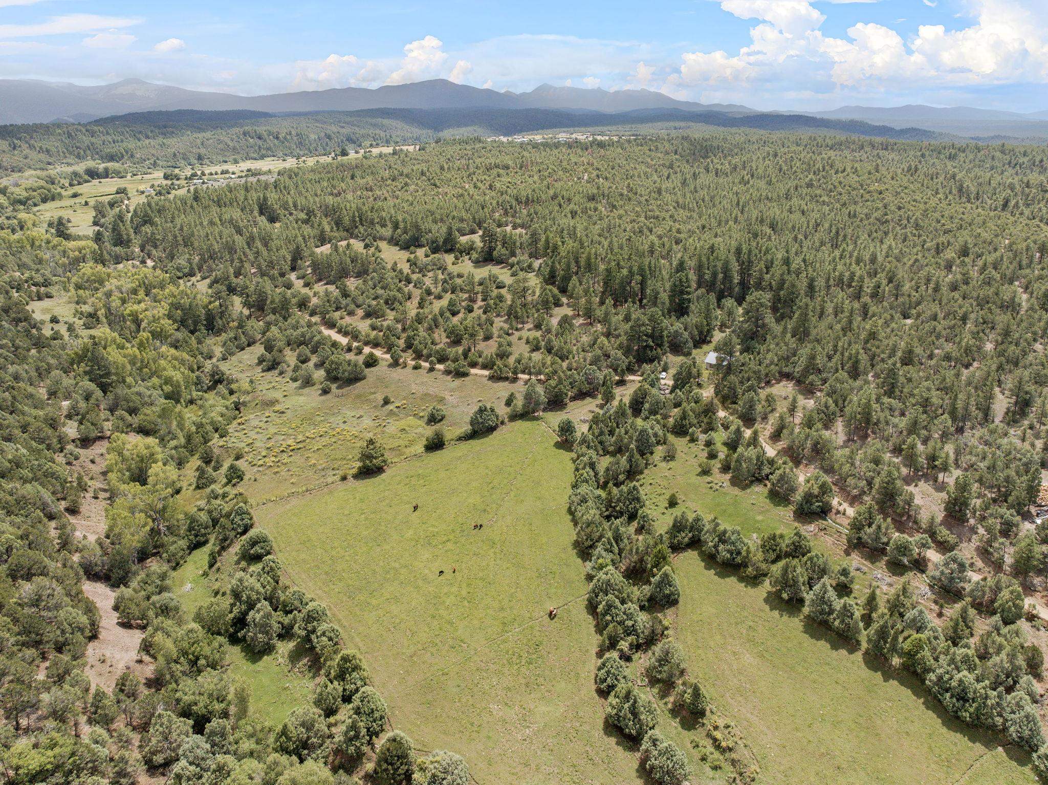 17 Acres Chamisal, NM 87521 - Photo 11 of 16