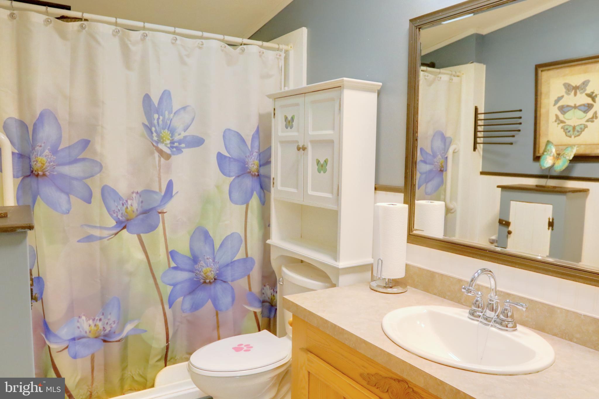 15792 Cross Mill Road Felton, PA 17322 - Photo 27 of 33 a bathroom with a sink vanity mirror and toilet