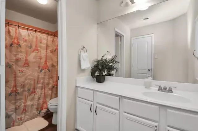 a bathroom with a granite countertop sink a toilet and a mirror