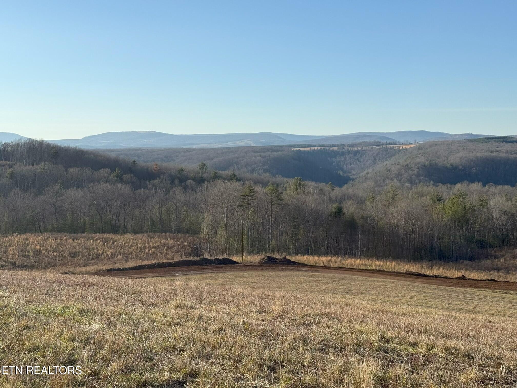 3 Possum Trot Road Grandview, TN 37337 - Photo 3 of 14 View from Tract 4 and 3