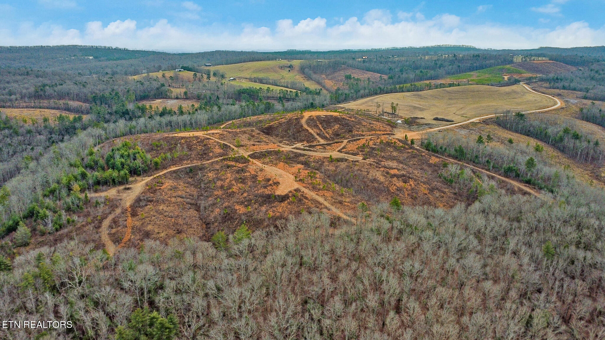 3 Possum Trot Road Grandview, TN 37337 - Photo 6 of 14 Aerial View