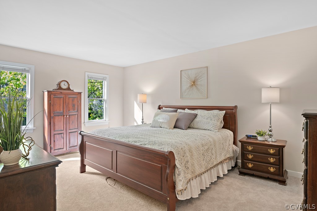13906 Turtle Hill Road Midlothian, VA 23112 - Photo 29 of 35 a bedroom with a bed a potted plant on dresser and a window