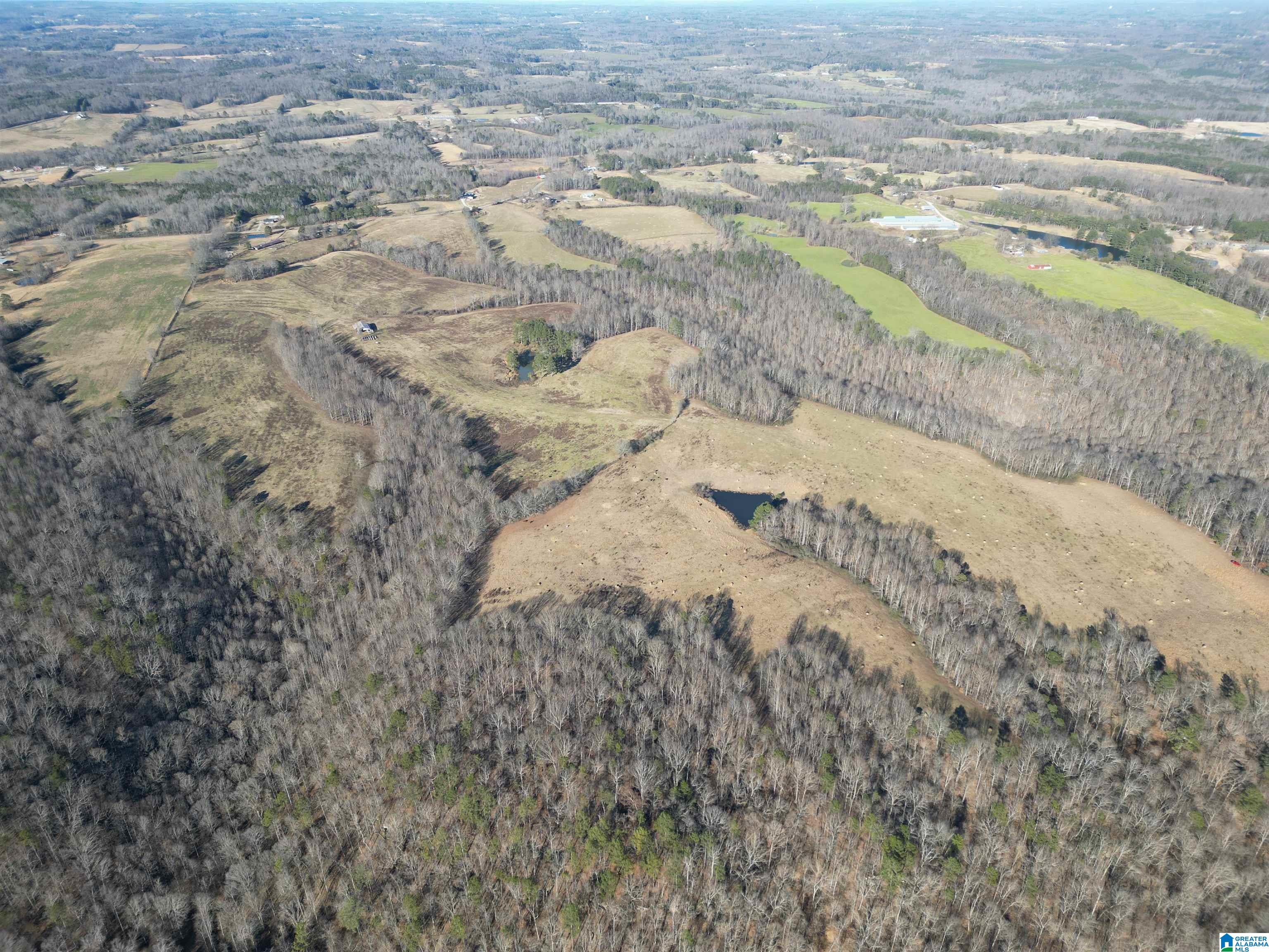 682 County Road 832 Logan, AL 35098 - Photo 20 of 48