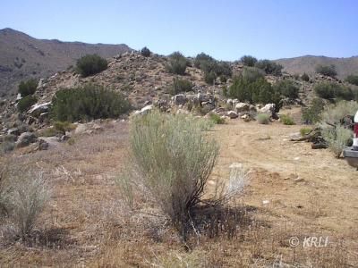 7730003 South Lobo Road Weldon, CA 93283 - Photo 5 of 8