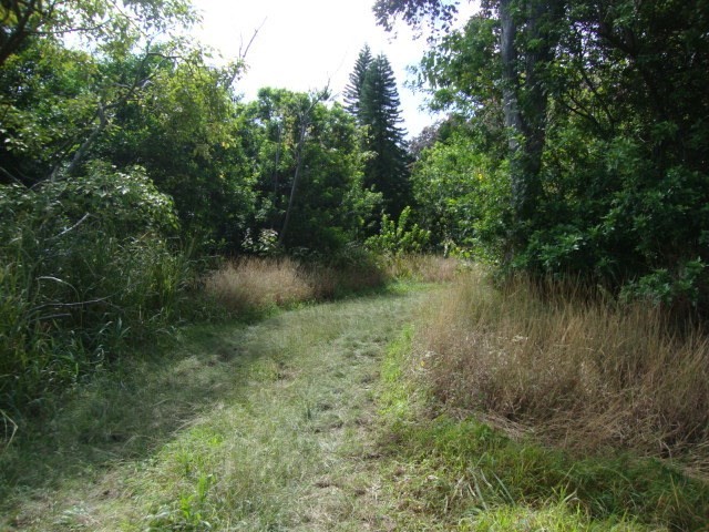 South Point Road Captain Cook, HI 96704 - Photo 3 of 4 Gallery Image 3