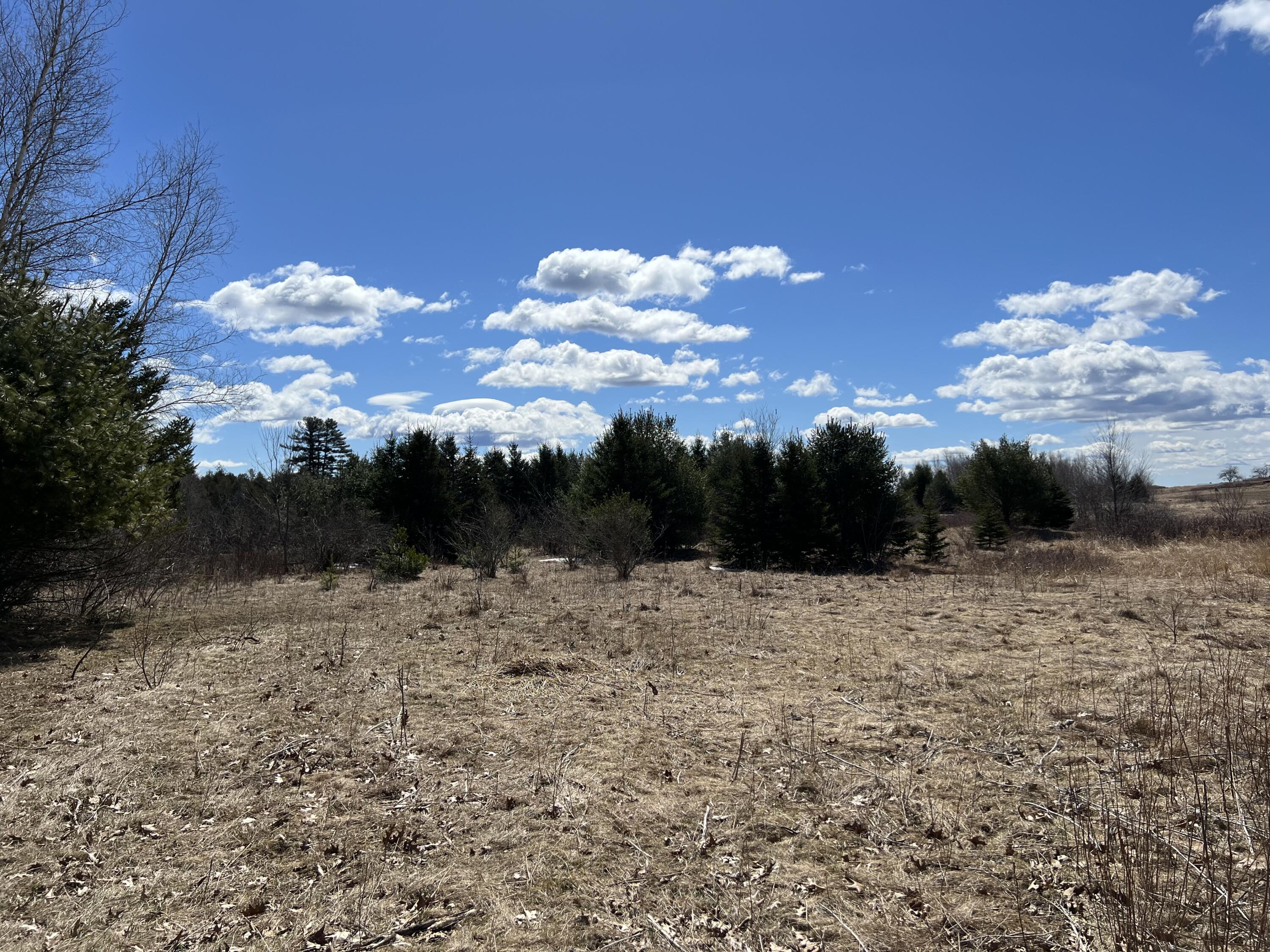 Lot 11-1 Main Road Charleston, ME 04422 - Photo 17 of 39 R side cleared space