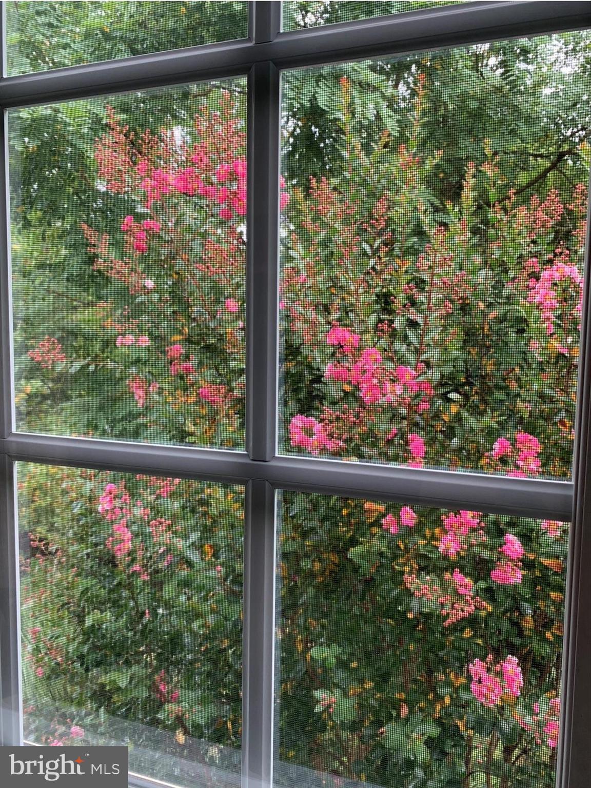 8214 Academy Road, Unit 25 Ellicott City, MD 21043 - Photo 24 of 64 Sunroom view of beautiful 2-story crepe myrtle