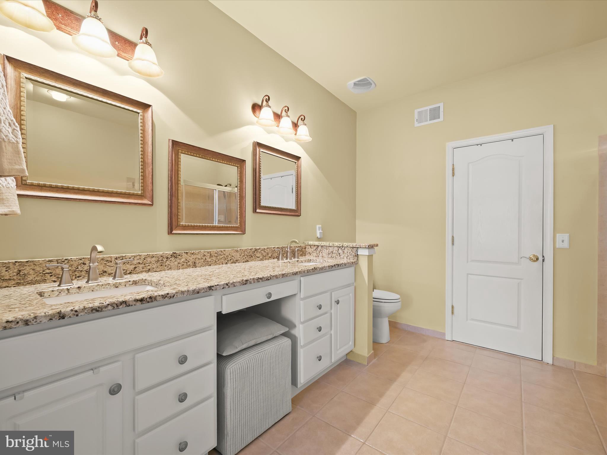 8214 Academy Road, Unit 25 Ellicott City, MD 21043 - Photo 29 of 64 Luxury primary bath