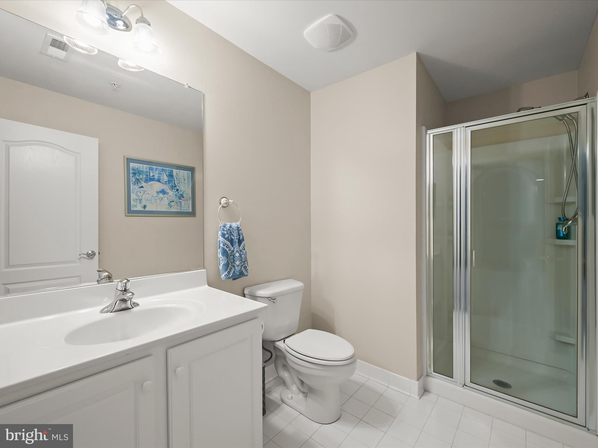 8214 Academy Road, Unit 25 Ellicott City, MD 21043 - Photo 50 of 64 Lower level full bathroom