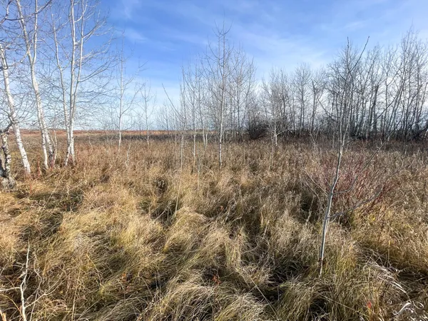 $144,000 | Tbd 150th Street Northwest, Thief River Falls, MN 56701