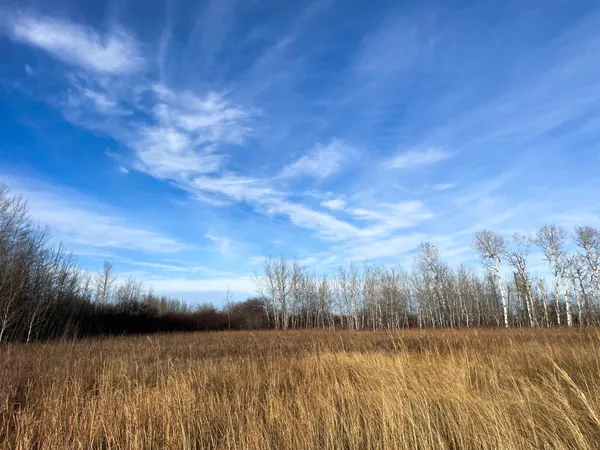 $144,000 | Tbd 150th Street Northwest, Thief River Falls, MN 56701
