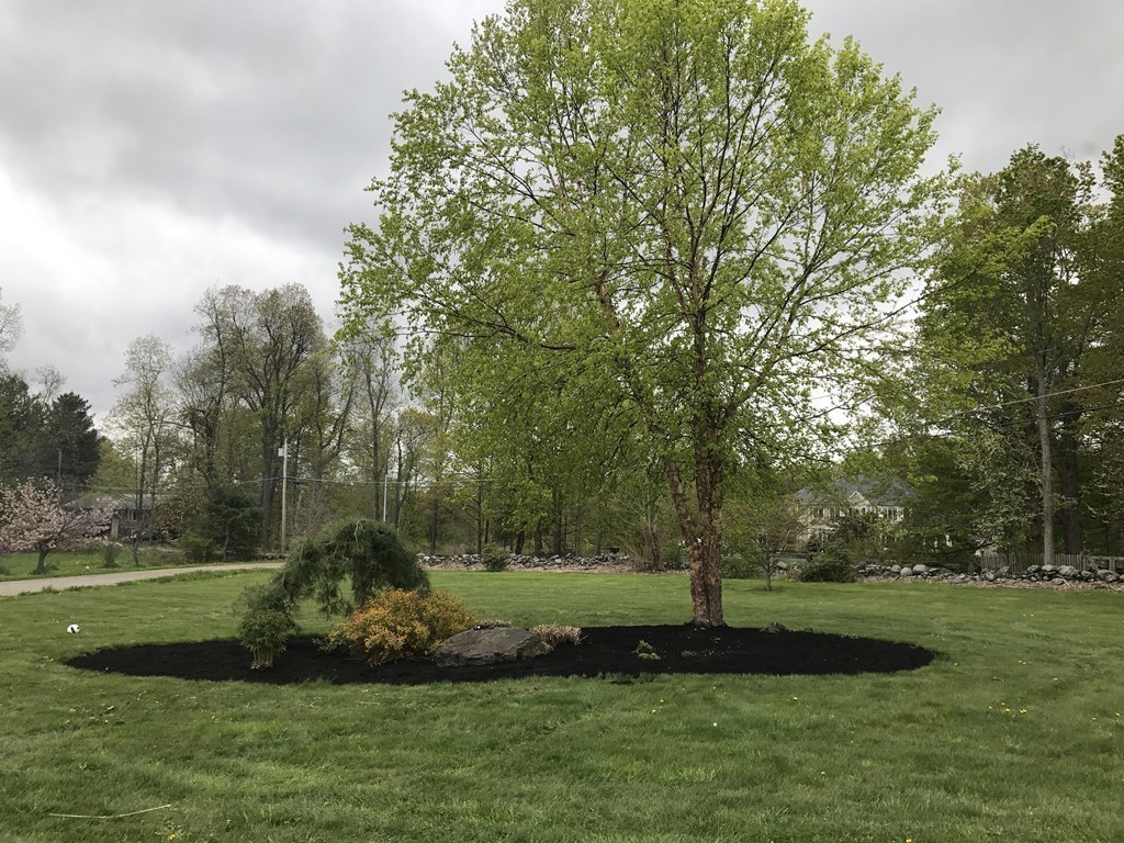 944 George Hill Road Lancaster, MA 01523 - Photo 11 of 22 a view of a park