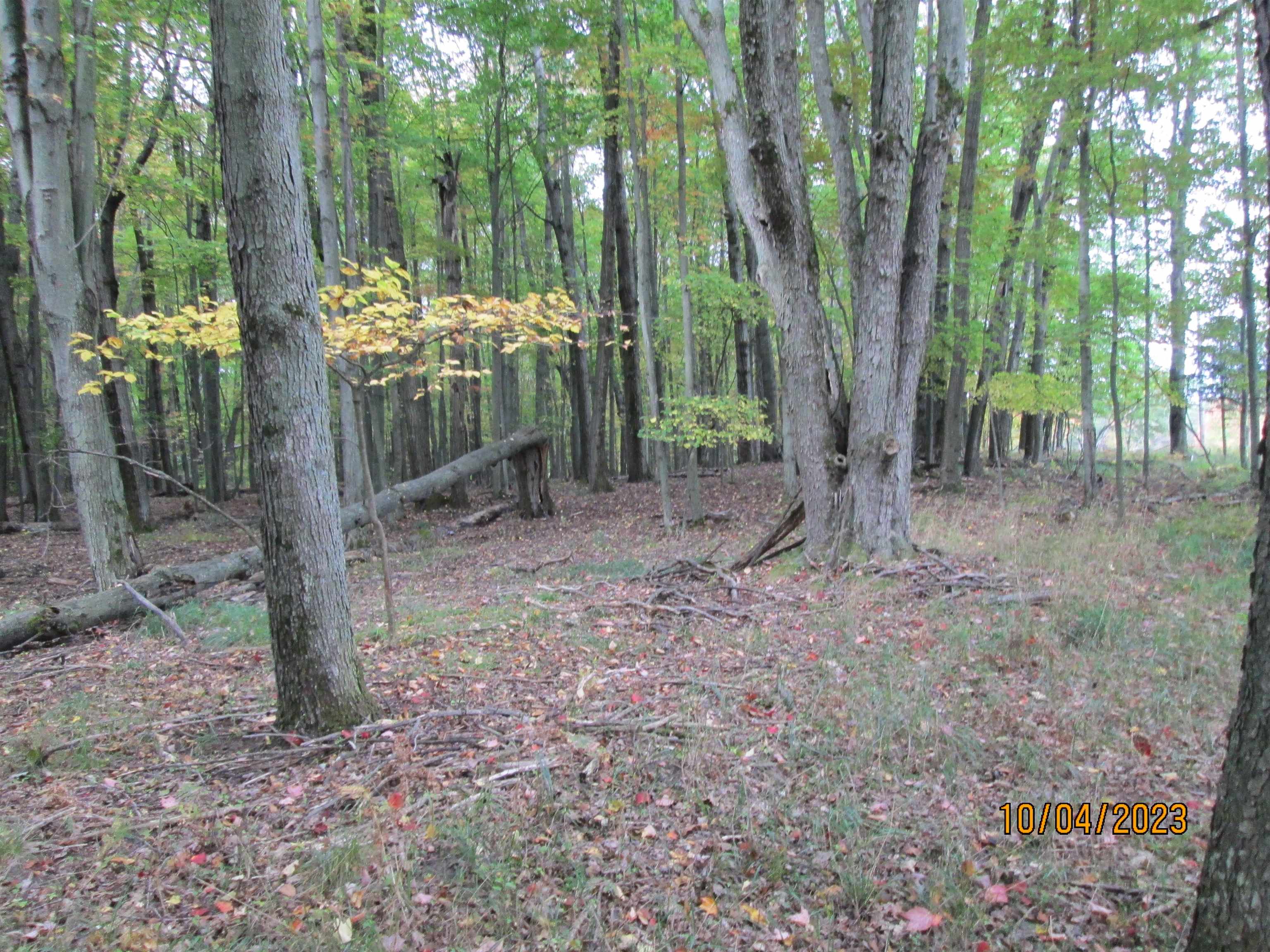 0 Peterson Road West Branch, MI 48661 - Photo 9 of 10