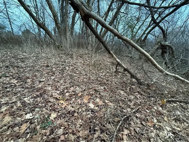 $22,500 | 0 Harwood Drive, Lacona, NY 13083