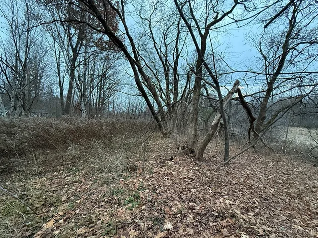 $22,500 | 0 Harwood Drive, Lacona, NY 13083