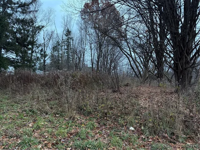 $22,500 | 0 Harwood Drive, Lacona, NY 13083