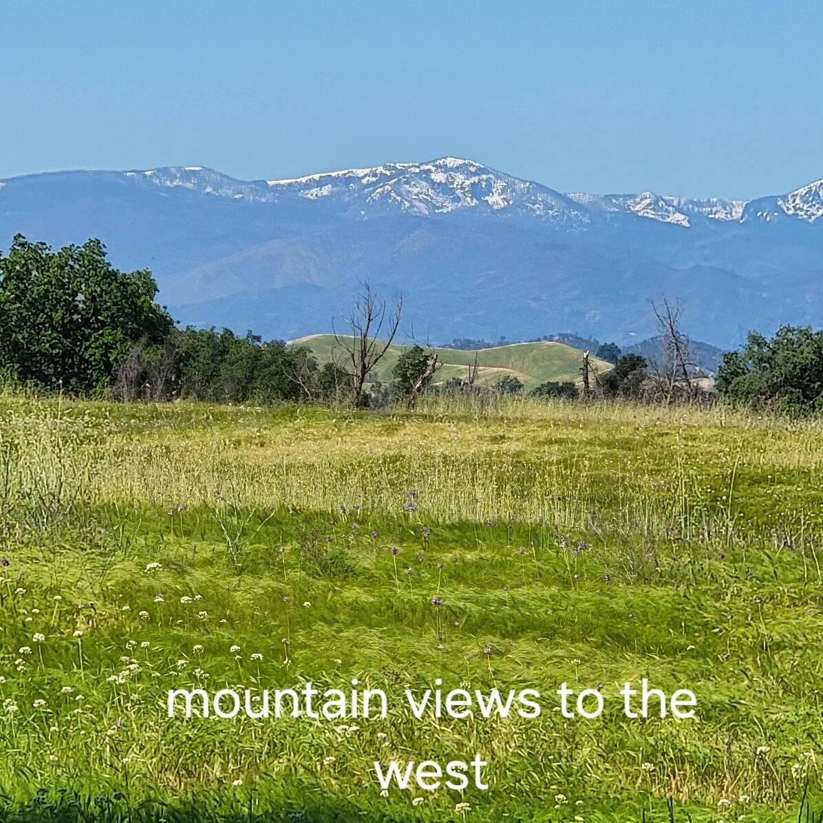 6252 Junkans Road Igo, CA 96047 - Photo 2 of 54 20240518_092454