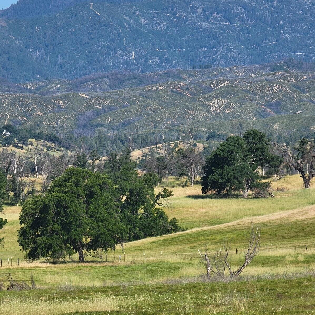 6252 Junkans Road Igo, CA 96047 - Photo 29 of 54 20240518_091013