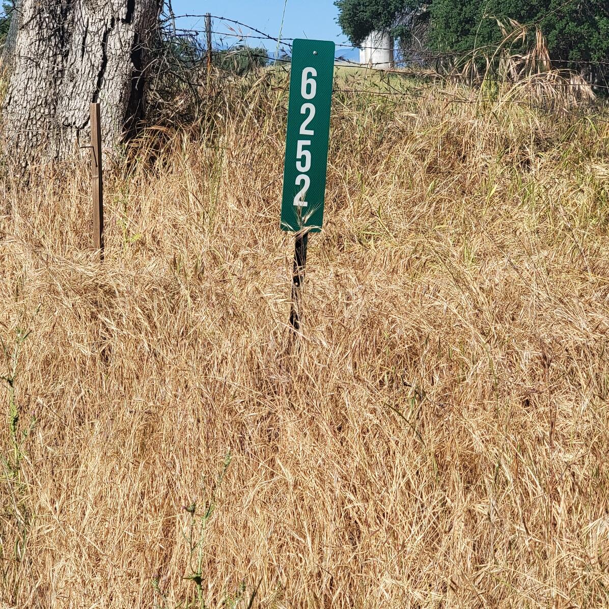 6252 Junkans Road Igo, CA 96047 - Photo 3 of 54 20240518_091828