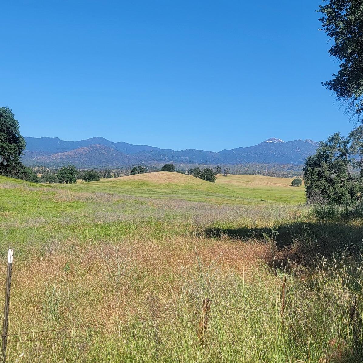 6252 Junkans Road Igo, CA 96047 - Photo 38 of 54 20240518_091613