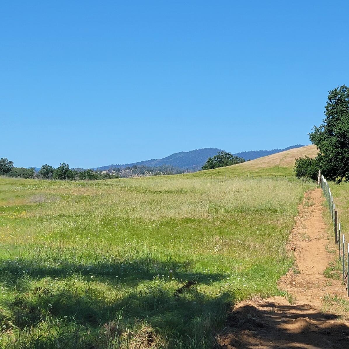 6252 Junkans Road Igo, CA 96047 - Photo 43 of 54 20240518_092605