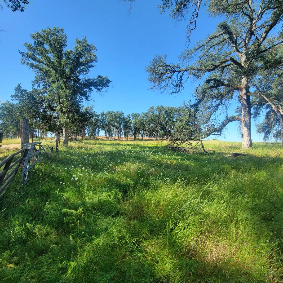 6252 Junkans Road Igo, CA 96047 - Photo 45 of 54 20240518_092307