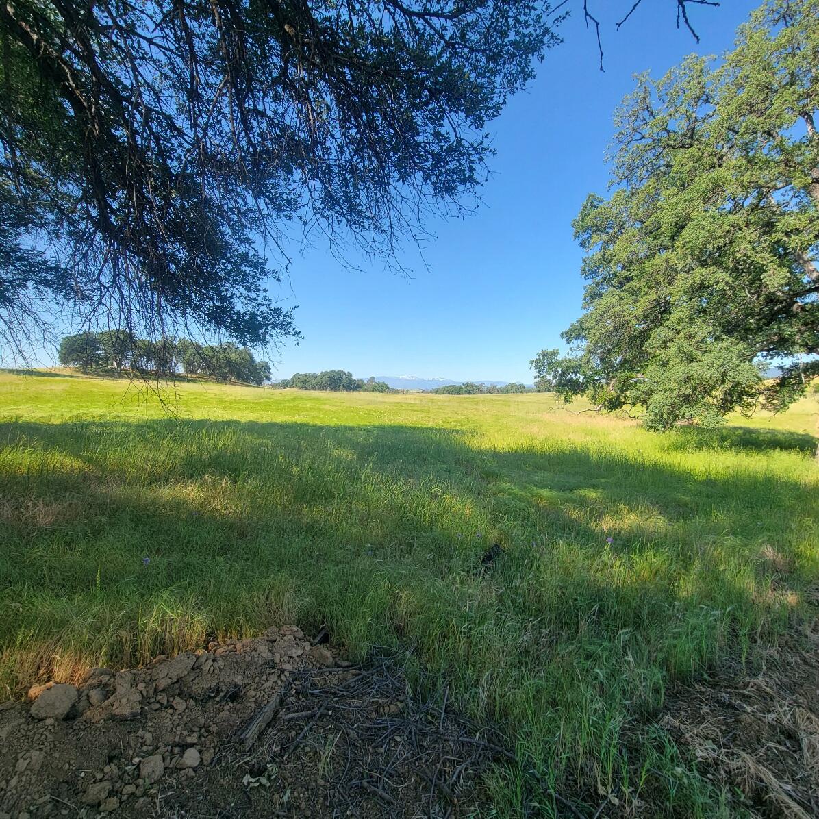 6252 Junkans Road Igo, CA 96047 - Photo 46 of 54 20240518_092444
