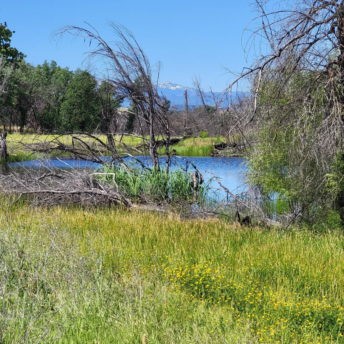 6252 Junkans Road Igo, CA 96047 - Photo 8 of 54 20240521_101331