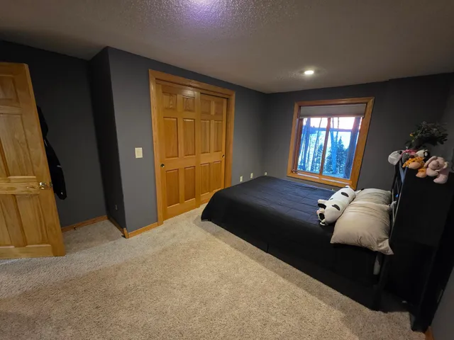 $590,000 | 13316 Bellecourt Road Northeast, Hines, MN 56647