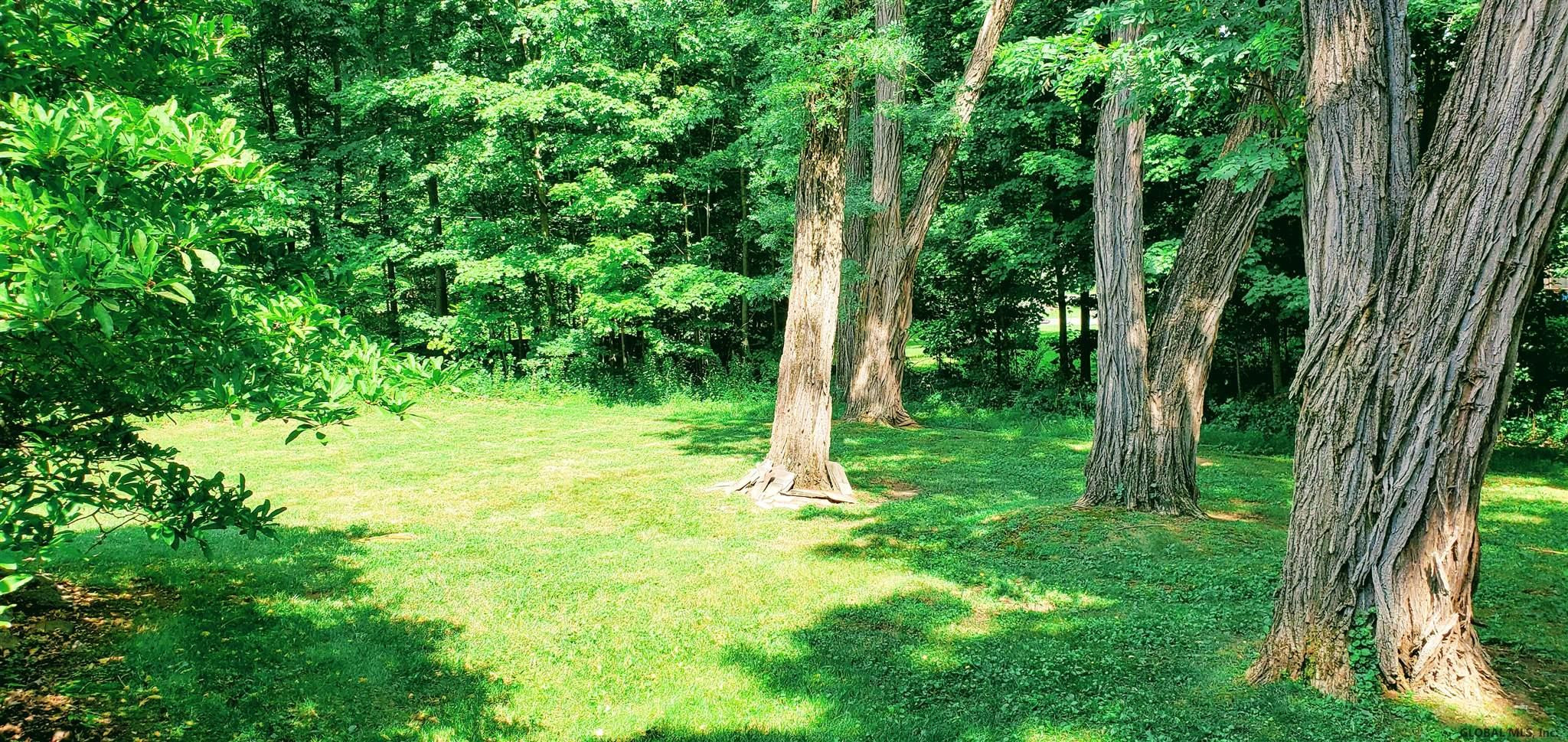 81 Locust Grove Road Greenfield, NY 12866 - Photo 43 of 45 Photo 43