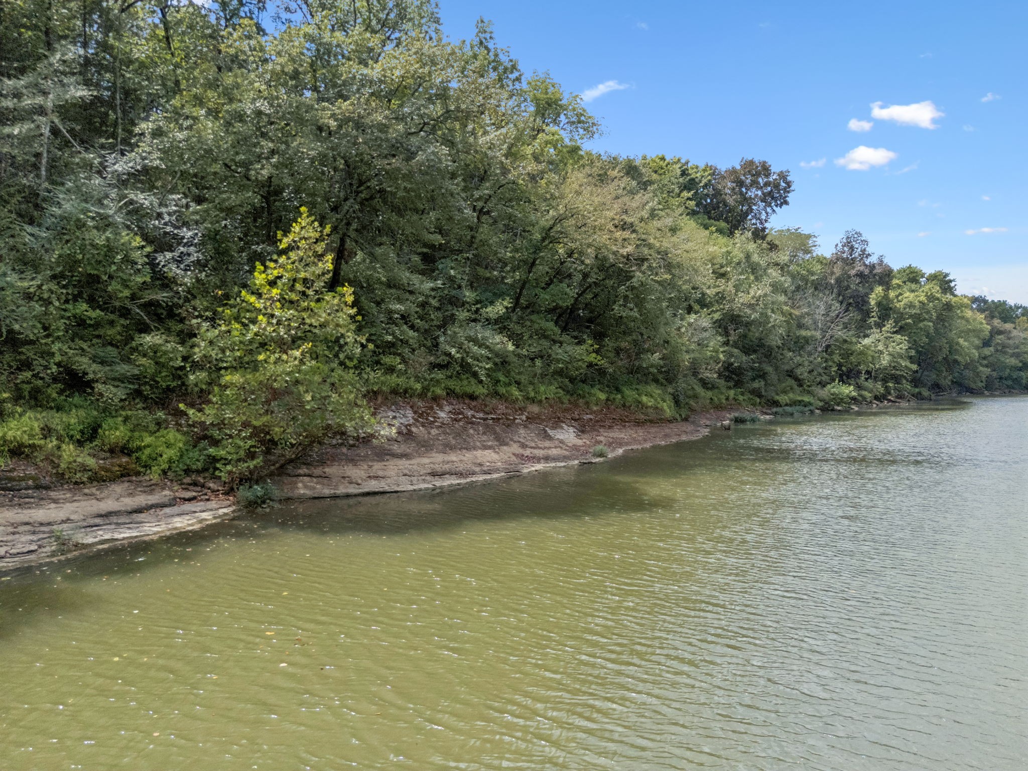 3680 Clark Road Lewisburg, TN 37091 - Photo 6 of 37