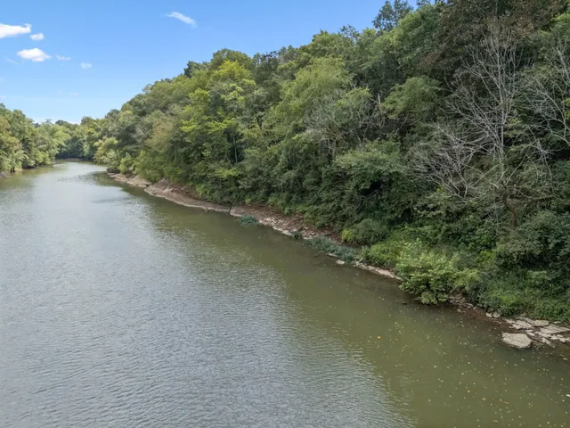 a ground with lots of trees