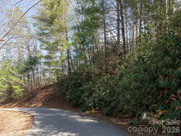 a view of a street with a trees
