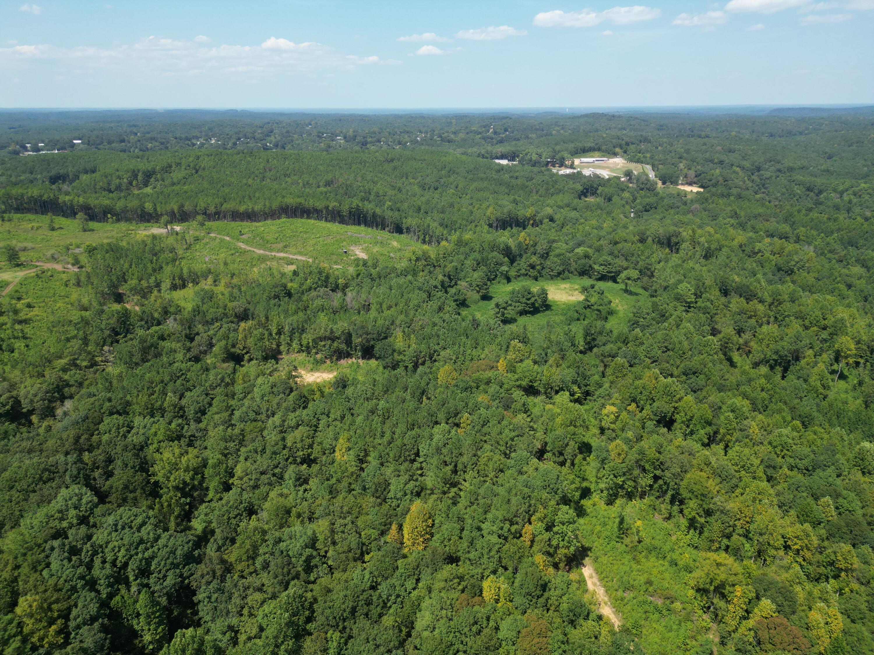 0 Old Baltimore Road Parrish, AL 35580 - Photo 19 of 33 Gallery Image 19