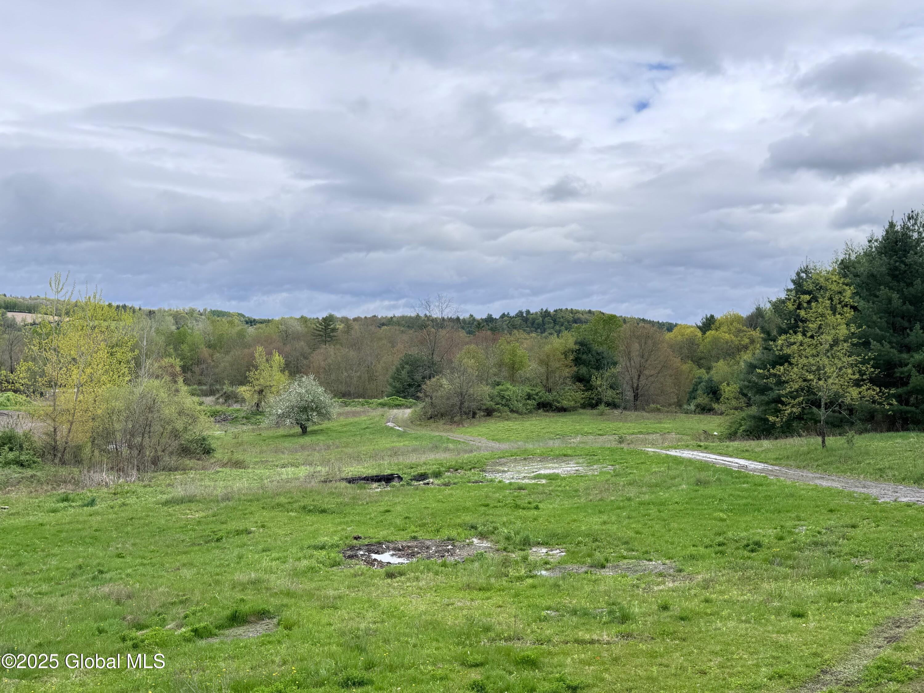 515 County Rte 49 Salem, NY 12865 - Photo 4 of 27 IMG_6198