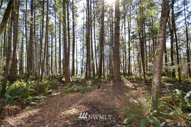 999 Gustavson Road Quilcene, WA 98376 - Photo 1 of 6